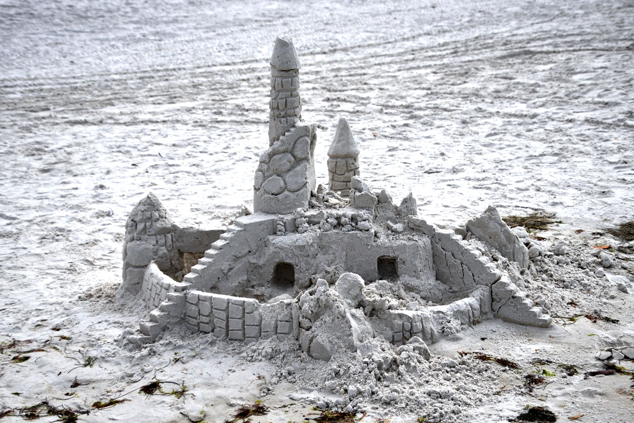 Siesta Keys, FL - 2022