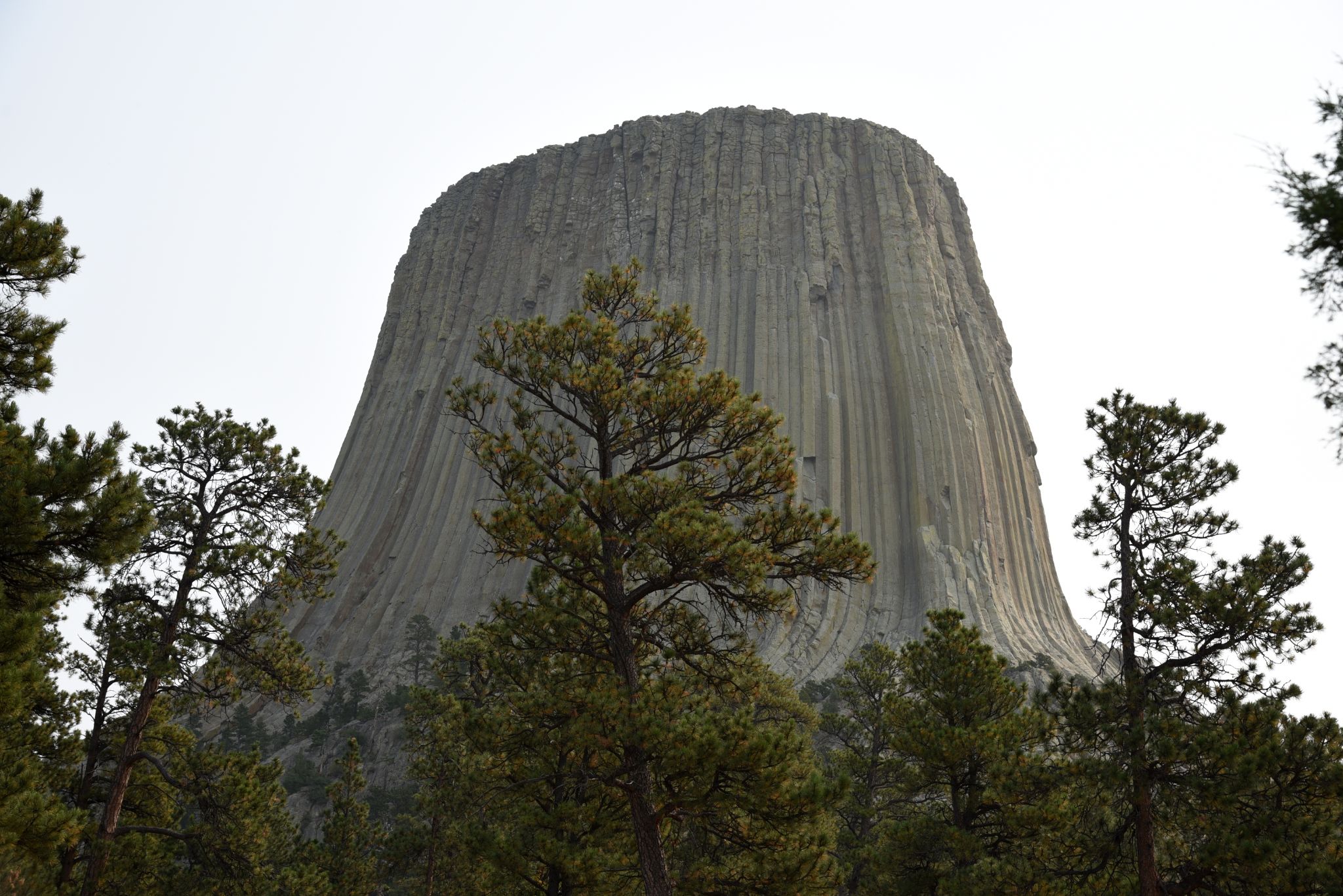 Devils Tower Wyoming