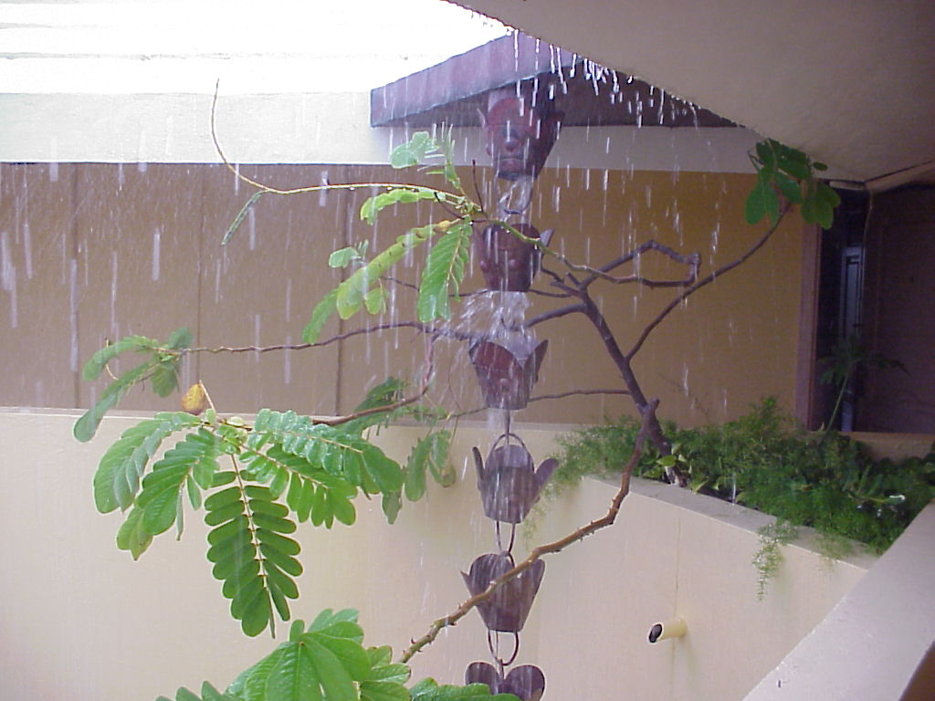 Dominican Republic Secrets 2003