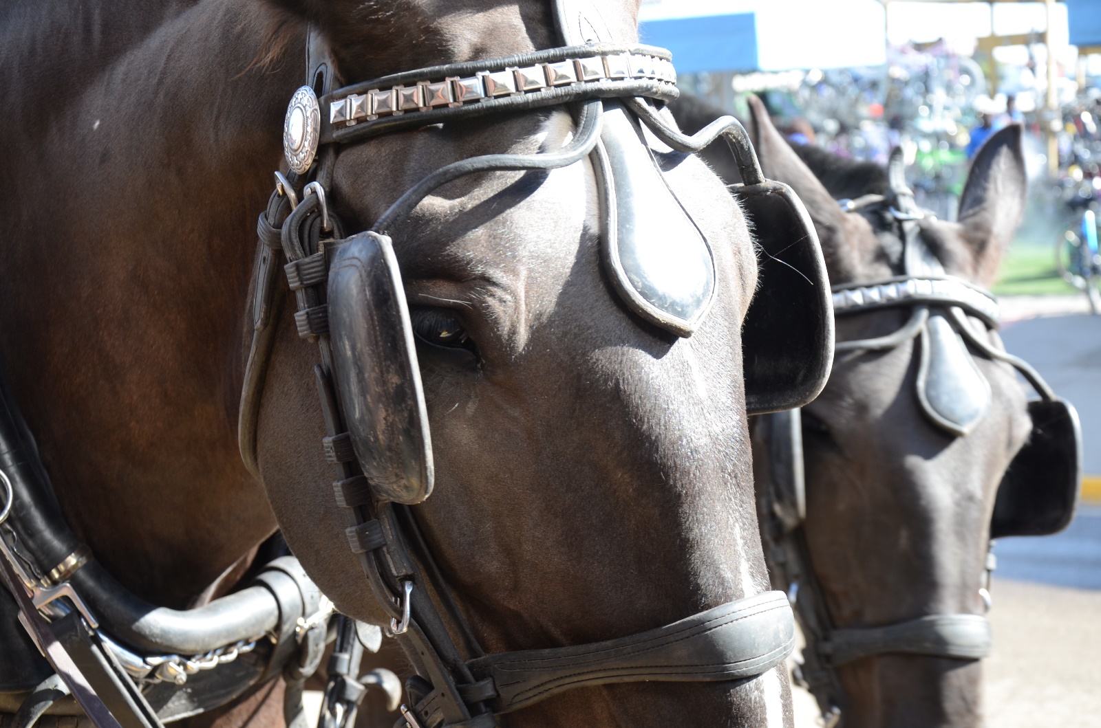 Mackinaw Island 2015