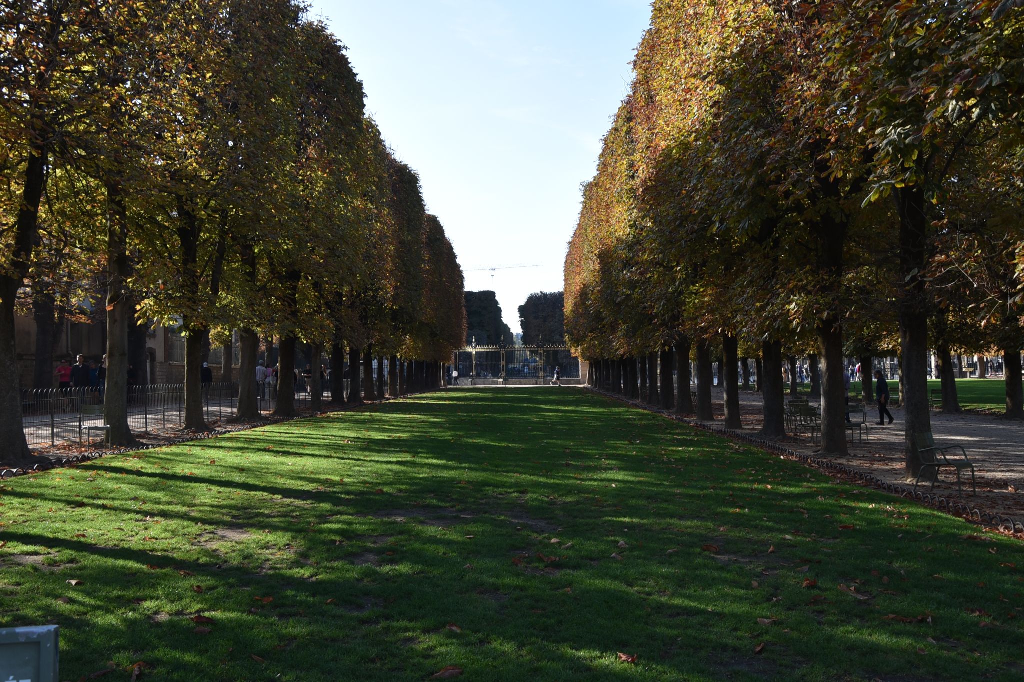 Jardin du Luxembourg