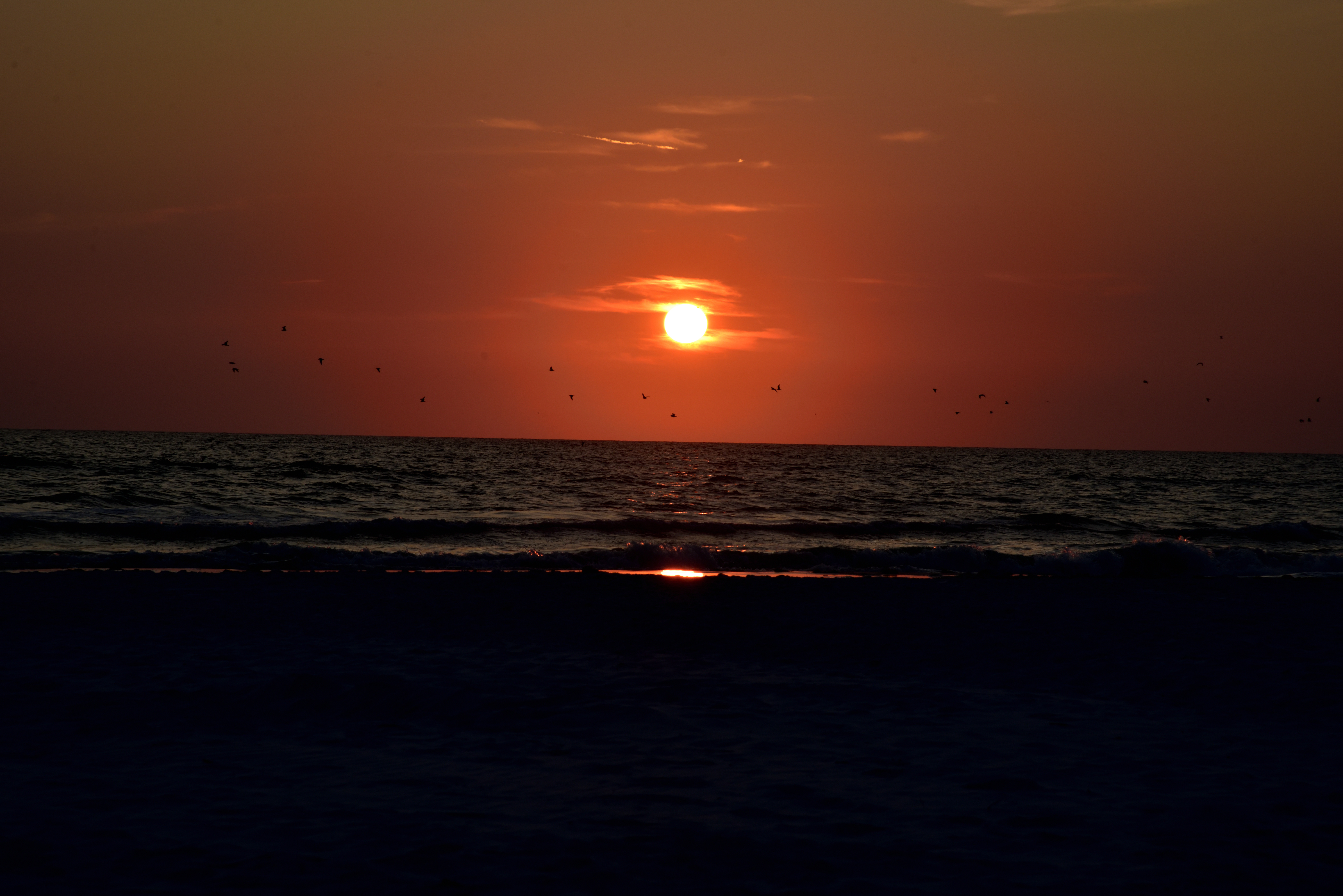 Sunset on Siesta Keys