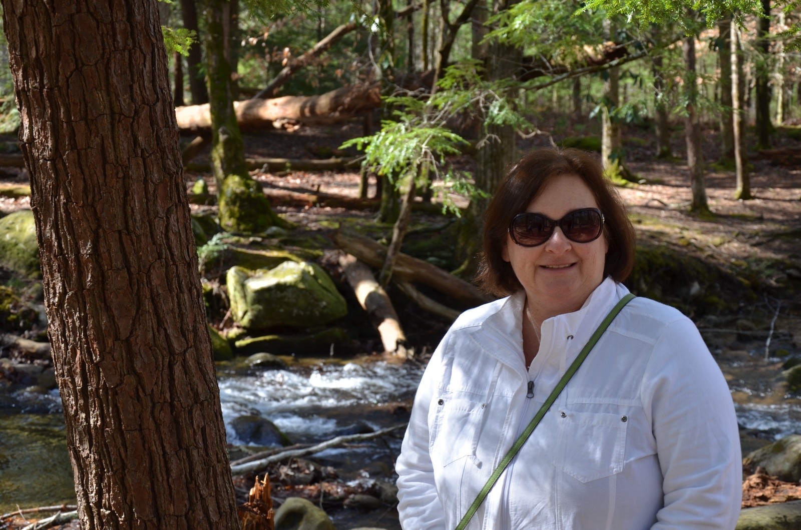 Smokey Mountains National Park, TN