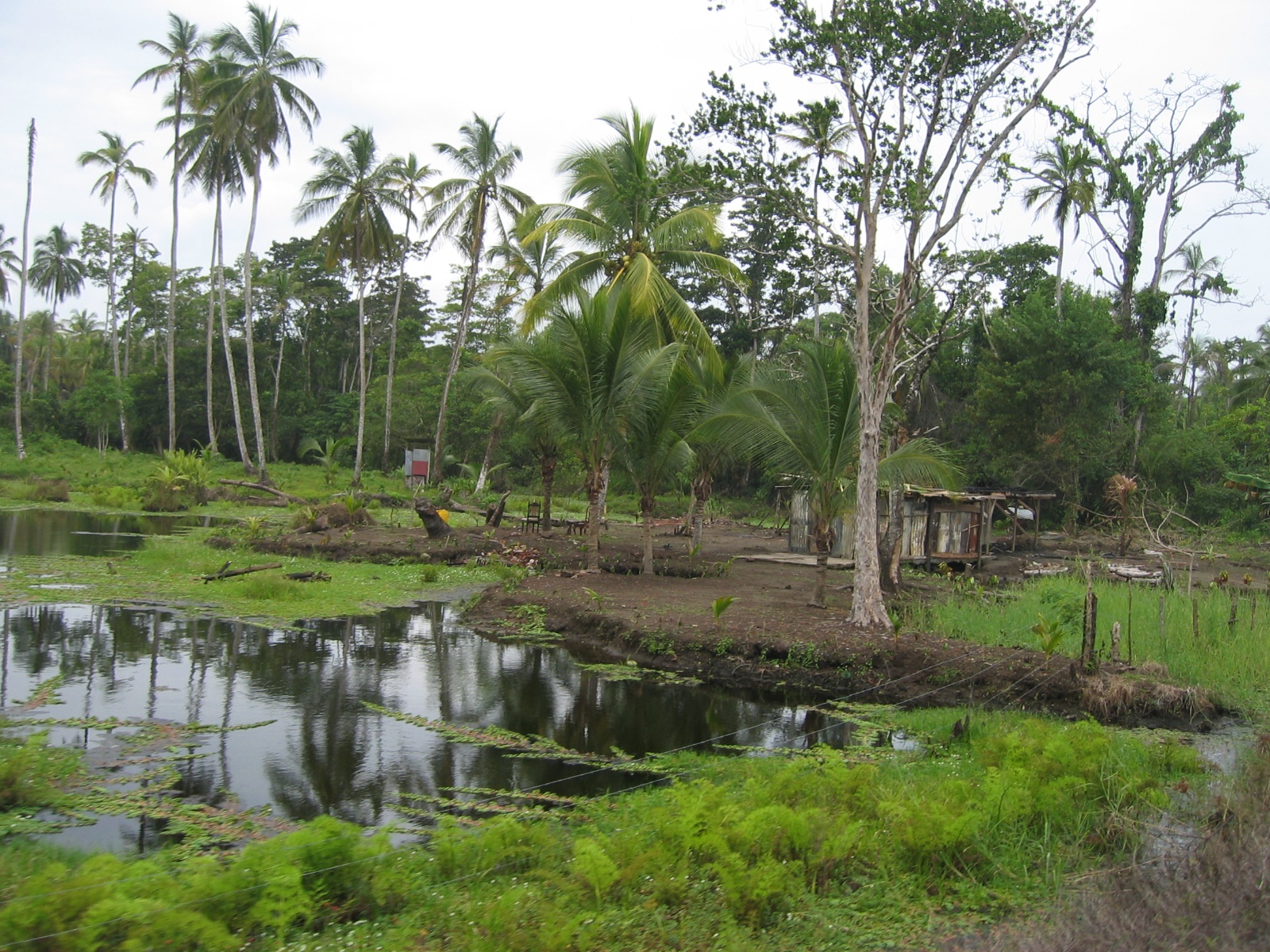 Southern Caribbean Cruise 2006